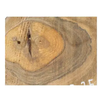 Plaster Orzecha Włoskiego 38x29x3,5cm