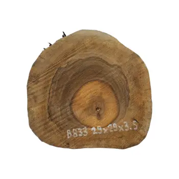 Plaster Orzecha Włoskiego 29x29x3,5cm