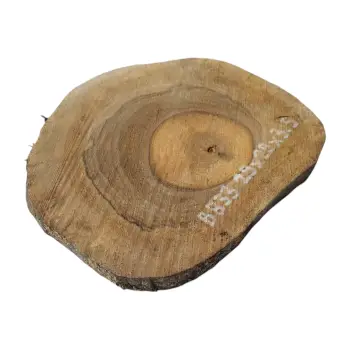 Plaster Orzecha Włoskiego 29x29x3,5cm