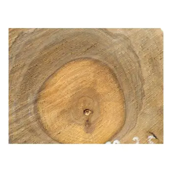 Plaster Orzecha Włoskiego 29x29x3,5cm