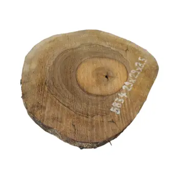 Plaster Orzecha Włoskiego 29x29x3,5cm