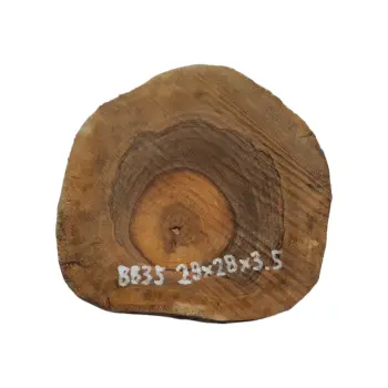 Plaster Orzecha Włoskiego 29x28x3,5cm