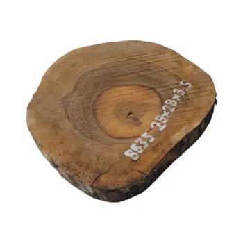 Plaster Orzecha Włoskiego 29x28x3,5cm