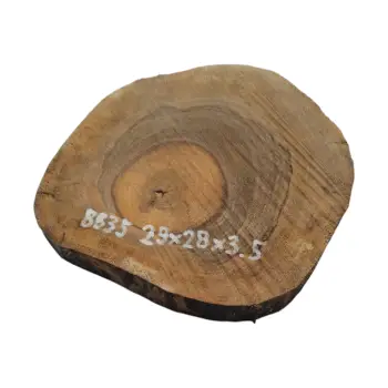 Plaster Orzecha Włoskiego 29x28x3,5cm