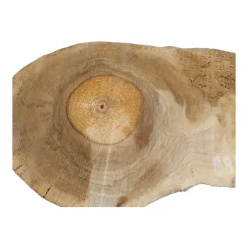 Plaster Orzecha Włoskiego 59x24x7,5cm