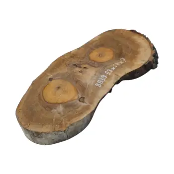 Plaster Orzecha Włoskiego 53x24x7cm