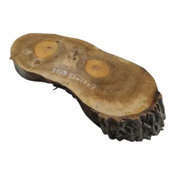 Plaster Orzecha Włoskiego 53x24x7cm