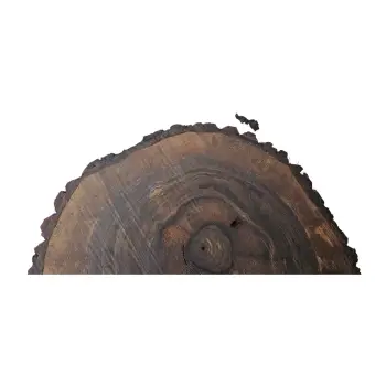 Plaster Orzecha Włoskiego 54x49x7cm