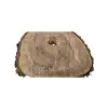 Plaster Orzecha Włoskiego 36x29x4cm