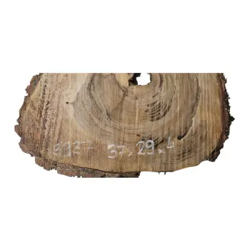 Plaster Orzecha Włoskiego 37x29x4cm