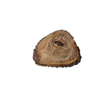 Plaster Orzecha Włoskiego 39x32x4cm