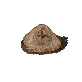 Plaster Orzecha Włoskiego 45x34x4cm