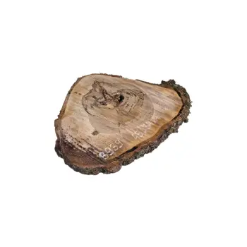 Plaster Orzecha Włoskiego 45x34x4cm