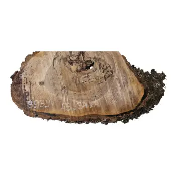 Plaster Orzecha Włoskiego 45x34x4cm