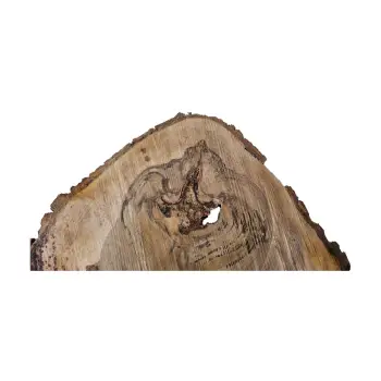 Plaster Orzecha Włoskiego 45x34x4cm