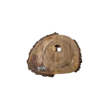 Plaster Orzecha Włoskiego 35x29x4cm