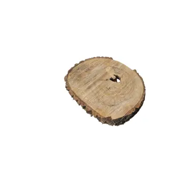 Plaster Orzecha Włoskiego 34x28x4cm