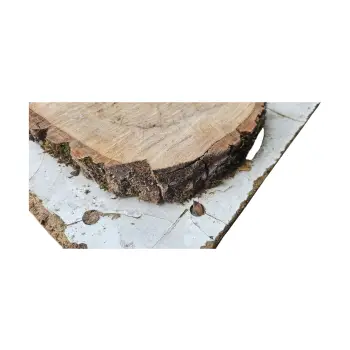 Plaster Orzecha Włoskiego 34x28x4cm