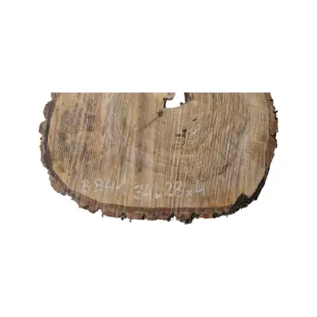 Plaster Orzecha Włoskiego 34x28x4cm