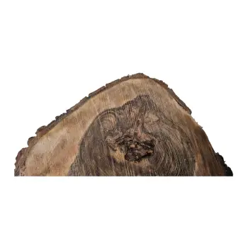 Plaster Orzecha Włoskiego 41x33x4cm