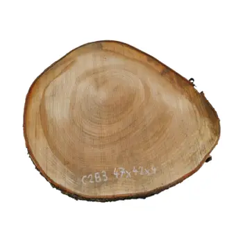 Plaster Czereśni 47x42x4cm