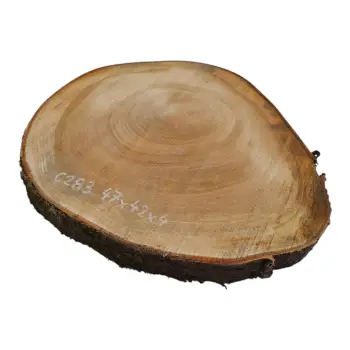 Plaster Czereśni 47x42x4cm