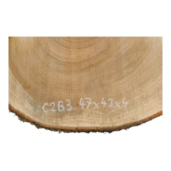 Plaster Czereśni 47x42x4cm