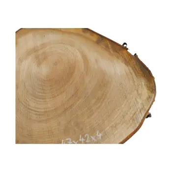 Plaster Czereśni 47x42x4cm