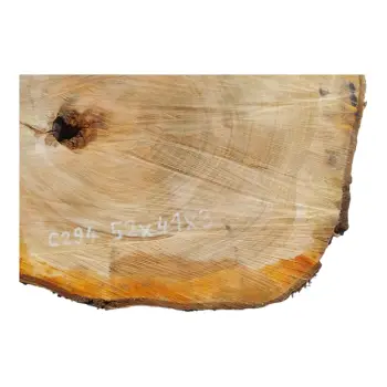 Plaster Czereśni 52x41x3cm