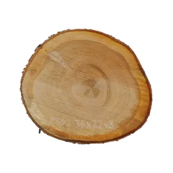 Plaster Czereśni 36x32x3cm