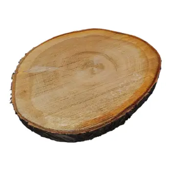 Plaster Czereśni 36x32x3cm