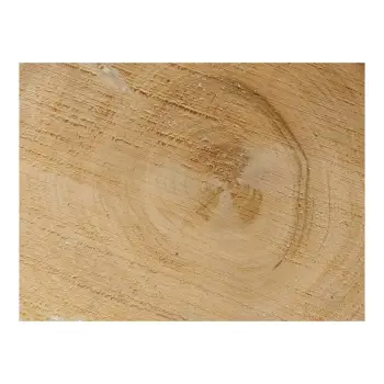 Plaster Czereśni 36x32x3cm