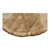 Plaster Dębowy 60x47x7,5cm Dąb