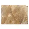 Plaster Dębowy 60x47x7,5cm Dąb
