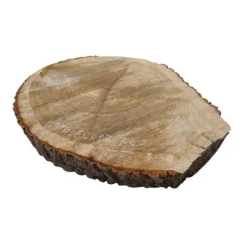 Plaster Dębowy 60x47x7,5cm Dąb
