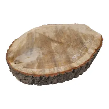 Plaster Dębowy 60x47x7,5cm Dąb