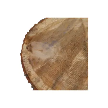 Plaster Dębowy 60x47x7,5cm Dąb