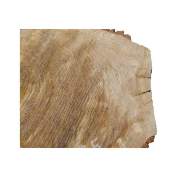 Plaster Dębowy 60x47x7,5cm Dąb