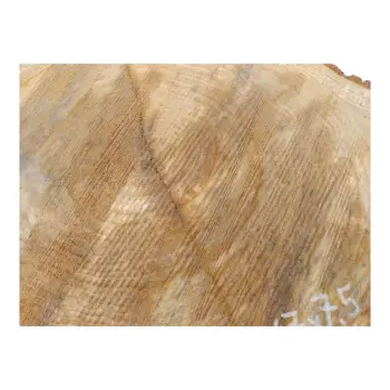 Plaster Dębowy 60x47x7,5cm Dąb