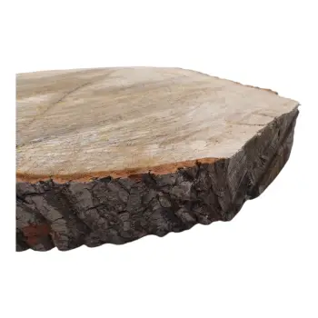 Plaster Dębowy 60x47x7,5cm Dąb