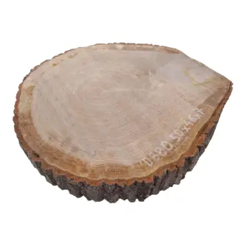 Plaster Dębowy 50x46x7cm Dąb