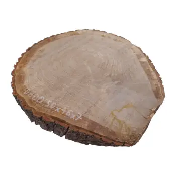 Plaster Dębowy 50x46x7cm Dąb