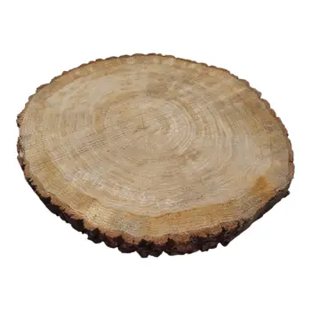 Plaster Dębowy 49x41x5cm Dąb