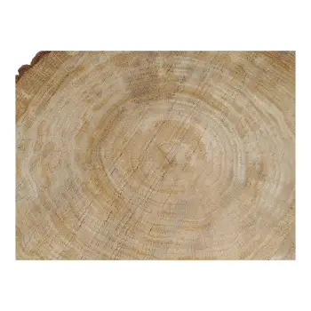 Plaster Dębowy 49x41x5cm Dąb