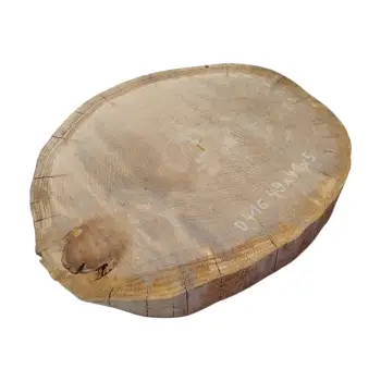 Plaster Dębowy 49x41x5cm Dąb