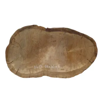 Plaster Dębowy 58x35x6cm Dąb