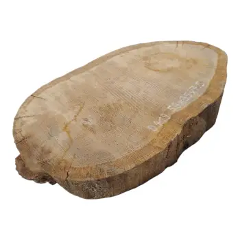 Plaster Dębowy 56x35x7,5cm Dąb