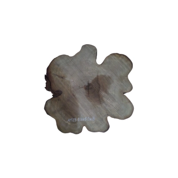 Plaster Akacji 59x60x8cm