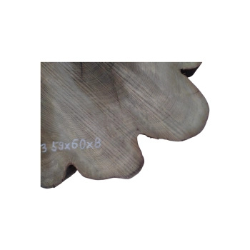 Plaster Akacji 59x60x8cm