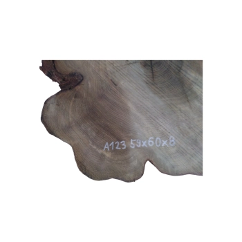 Plaster Akacji 59x60x8cm